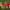 https://res.cloudinary.com/billionhands/image/upload/v1781187977/items/su0dbvbjsxyi2vnwazu8.jpg-3cover