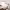 https://res.cloudinary.com/billionhands/image/upload/v1781188323/items/ainfgukl78syouk0gufk.png-2cover