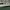 https://res.cloudinary.com/billionhands/image/upload/v1781191247/items/xd09tm3cqnah7xp6q754.avif-2cover