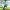 https://res.cloudinary.com/billionhands/image/upload/v1781193679/items/pxtju9ilrycw1jvonesc.jpg-0cover