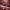 https://res.cloudinary.com/billionhands/image/upload/v1781194517/items/w6l1vsyecgzxmrbbkuvw.jpg-0cover