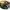 https://res.cloudinary.com/billionhands/image/upload/v1781197050/items/zsfv4zbgzdunycfqpdwr.jpg-3cover