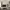 https://res.cloudinary.com/billionhands/image/upload/v1781197266/items/dfqc4kwd1yu8vfqdpgvf.webp-2cover