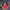 https://res.cloudinary.com/billionhands/image/upload/v1781197796/items/se9ztqtv036g6ip7rvx2.jpg-3cover