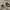 https://res.cloudinary.com/billionhands/image/upload/v1781197810/items/rbpmviidcydratmx4dcu.jpg-3cover
