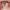 https://res.cloudinary.com/billionhands/image/upload/v1781199582/items/lqewkvmhftjn8ee3l8qw.jpg-1cover