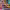 Virtual Themed Party (Retro, Cinema, Tourist Destinations) cover