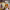 https://res.cloudinary.com/billionhands/image/upload/v1781201621/items/luzgc2drzzxnlpvrfmt9.webp-2cover
