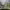 https://res.cloudinary.com/billionhands/image/upload/v1781201643/items/cmt6f8m5gvs2bp0cfjoj.webp-1cover