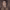https://res.cloudinary.com/billionhands/image/upload/v1781204014/items/nbx2942waajsyopty1xc.jpg-3cover