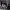 https://res.cloudinary.com/billionhands/image/upload/v1781204792/items/gzaqcrwgfur1j49u3xjd.jpg-1cover