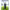 https://res.cloudinary.com/billionhands/image/upload/v1781205267/items/uyuywtixiigiptmdgra6.webp-2cover