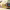 https://res.cloudinary.com/billionhands/image/upload/v1781205409/items/dsi3awjjc5y0lolciocz.webp-3cover
