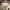 https://res.cloudinary.com/billionhands/image/upload/v1781205433/items/kq3ilkorgziwsurq6xdl.jpg-1cover