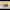 https://res.cloudinary.com/billionhands/image/upload/v1781205460/items/zlkr9kgetsajgprmd4if.jpg-3cover