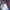 https://res.cloudinary.com/billionhands/image/upload/v1781205505/items/nbmuklirwynlw9cyr0gi.jpg-0cover