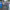 https://res.cloudinary.com/billionhands/image/upload/v1781206517/items/fu6lkk9xtuipkffjky5k.jpg-2cover