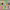 Metro Trains – "Dumb Ways to Die" cover