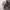 https://res.cloudinary.com/billionhands/image/upload/v1781209792/items/ximqyoavszljntbm4sfx.jpg-3cover
