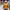 https://res.cloudinary.com/billionhands/image/upload/v1781210073/items/a8oakc05k07c1eappy0a.webp-0cover