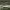 https://res.cloudinary.com/billionhands/image/upload/v1781210868/items/nxvf4afl7joprxj2hni3.jpg-0cover