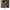 https://res.cloudinary.com/billionhands/image/upload/v1781212266/items/gwemjaaq6jp9v6vb61z9.jpg-2cover