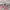 https://res.cloudinary.com/billionhands/image/upload/v1781213482/items/pfigmhydldtmicnple4o.jpg-2cover