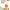 https://res.cloudinary.com/billionhands/image/upload/v1781214883/items/mqy58h3dhx5bzavjt5vv.jpg-2cover