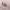 https://res.cloudinary.com/billionhands/image/upload/v1781215061/items/wlqvwthxvytb1nrtjlr3.jpg-1cover