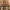 https://res.cloudinary.com/billionhands/image/upload/v1781215159/items/svexhc19axing14ckj15.jpg-0cover
