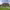https://res.cloudinary.com/billionhands/image/upload/v1781215503/items/dvvmjhhaia3bwanxlwxk.jpg-0cover