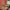 https://res.cloudinary.com/billionhands/image/upload/v1781215518/items/po7vrrvuo0kkmswo5khy.jpg-0cover