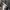 https://res.cloudinary.com/billionhands/image/upload/v1781215531/items/bicbrktsxpfnzvyoozdm.webp-0cover