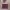 https://res.cloudinary.com/billionhands/image/upload/v1781215533/items/roylc3arckfswsebyc0d.webp-2cover