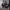 https://res.cloudinary.com/billionhands/image/upload/v1781215592/items/wz0yilh8vozkirqdrw4o.jpg-2cover