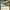 https://res.cloudinary.com/billionhands/image/upload/v1781216552/items/awxuw510e6gxzvxtlbix.jpg-2cover