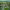 https://res.cloudinary.com/billionhands/image/upload/v1781217204/items/egh2ot3edjsta2axjf5f.jpg-0cover