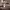 https://res.cloudinary.com/billionhands/image/upload/v1781218873/items/brm9inwebcsegjcdbbb0.jpg-2cover