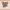 https://res.cloudinary.com/billionhands/image/upload/v1781222288/items/lu4mnwwvn8lh9h6bctzo.webp-0cover