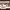 https://res.cloudinary.com/billionhands/image/upload/v1781222303/items/rgwknoqwd6brbdrsgnfa.jpg-0cover