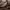 https://res.cloudinary.com/billionhands/image/upload/v1781223007/items/oimp1hsoigd0rqtbtyml.webp-3cover