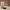 https://res.cloudinary.com/billionhands/image/upload/v1781223445/items/fwmgxs2vjswltwdzw7hr.jpg-3cover