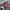 https://res.cloudinary.com/billionhands/image/upload/v1781224368/items/tr7kae6dfijsfwih2xuk.jpg-2cover