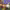 https://res.cloudinary.com/billionhands/image/upload/v1781227230/items/of4zt3nioh280uicezho.jpg-2cover