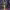 https://res.cloudinary.com/billionhands/image/upload/v1781228533/items/ianvy7kjpvzigpprnx0u.webp-1cover