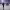 https://res.cloudinary.com/billionhands/image/upload/v1781229526/items/rwr5y6n4olfba5ok5uey.jpg-0cover