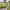 https://res.cloudinary.com/billionhands/image/upload/v1781229529/items/ffjt1zlopruxibolob1k.avif-1cover