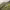 https://res.cloudinary.com/billionhands/image/upload/v1781229530/items/royw5jniwm4iuizeg7wf.jpg-3cover