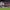 https://res.cloudinary.com/billionhands/image/upload/v1781230832/items/lhd0crxpa2ipwhpzrptj.webp-1cover
