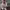 https://res.cloudinary.com/billionhands/image/upload/v1781230861/items/dbf6ln6wwoxr61v3wxnk.webp-1cover